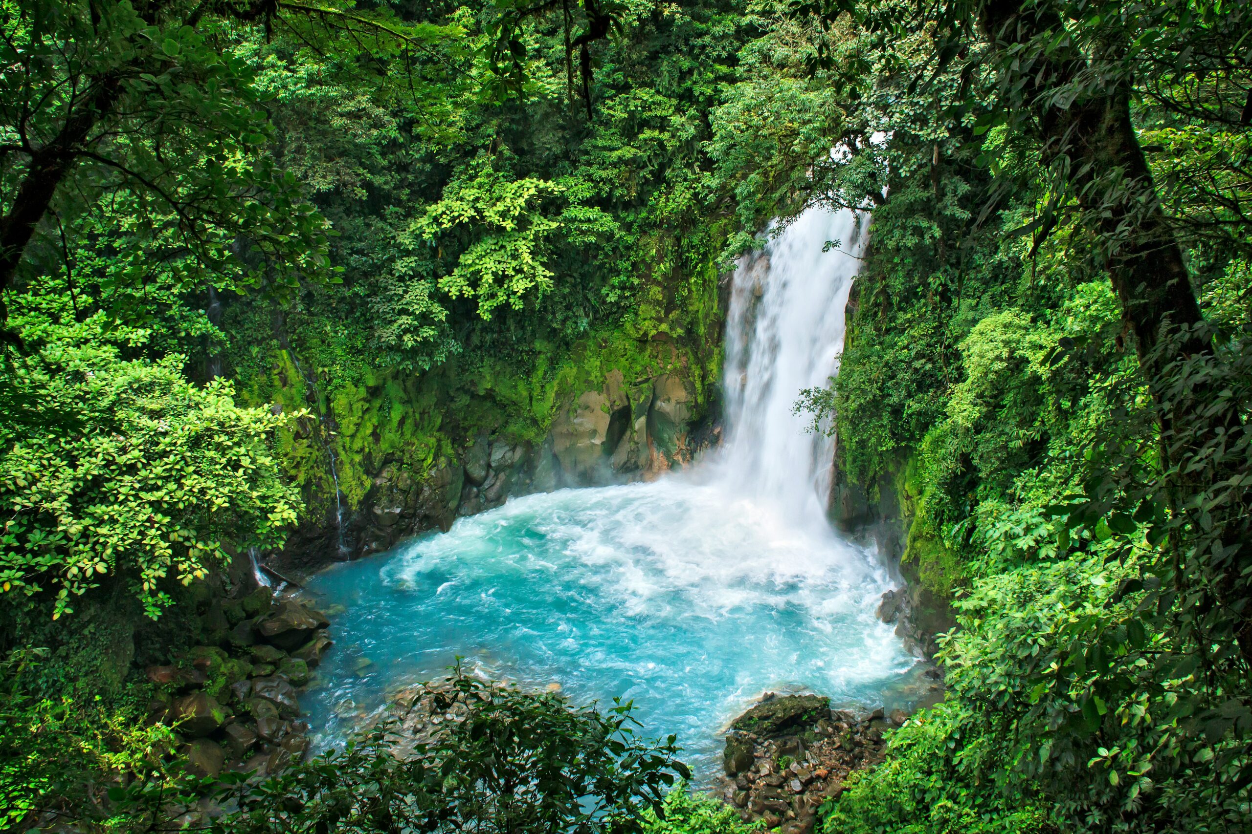 Waterfall in the jungle