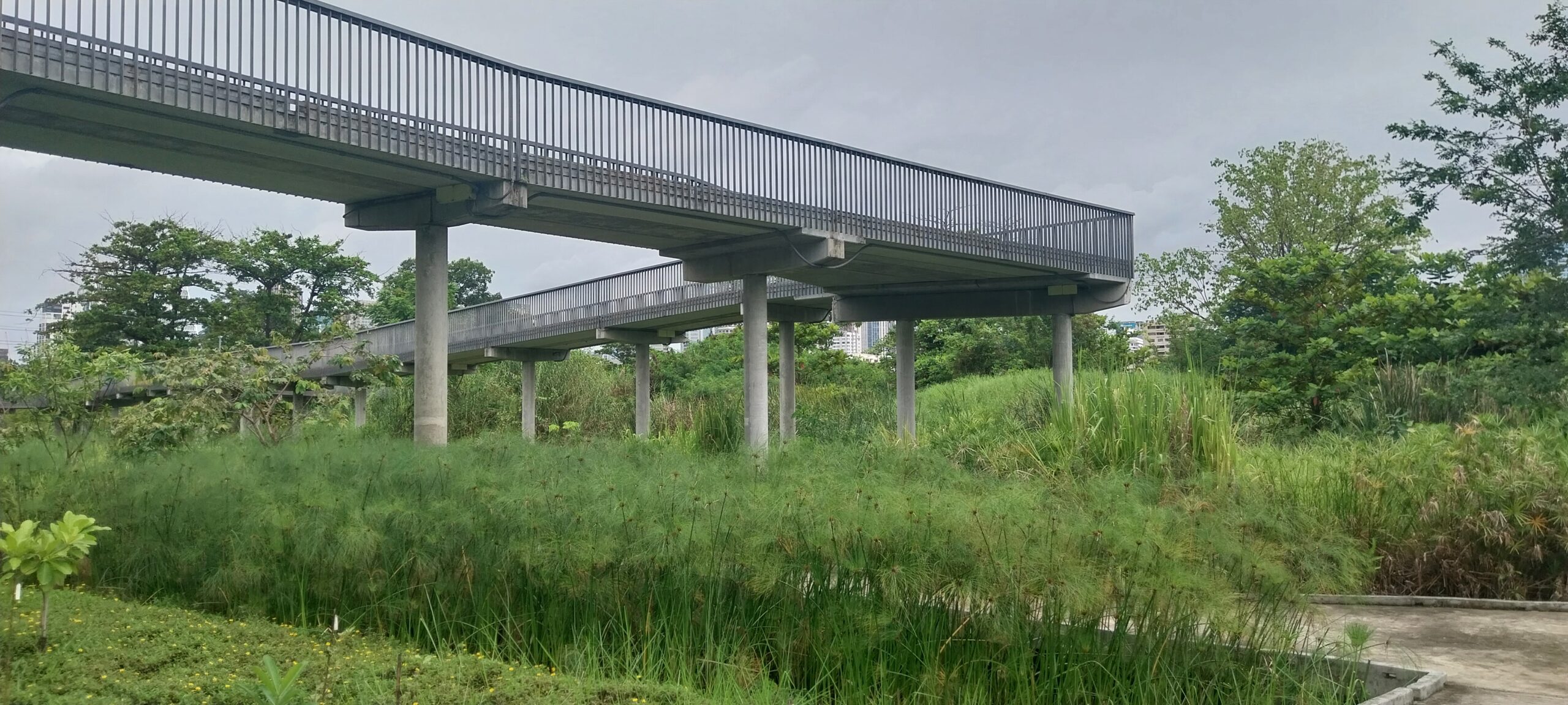 elevated walkway