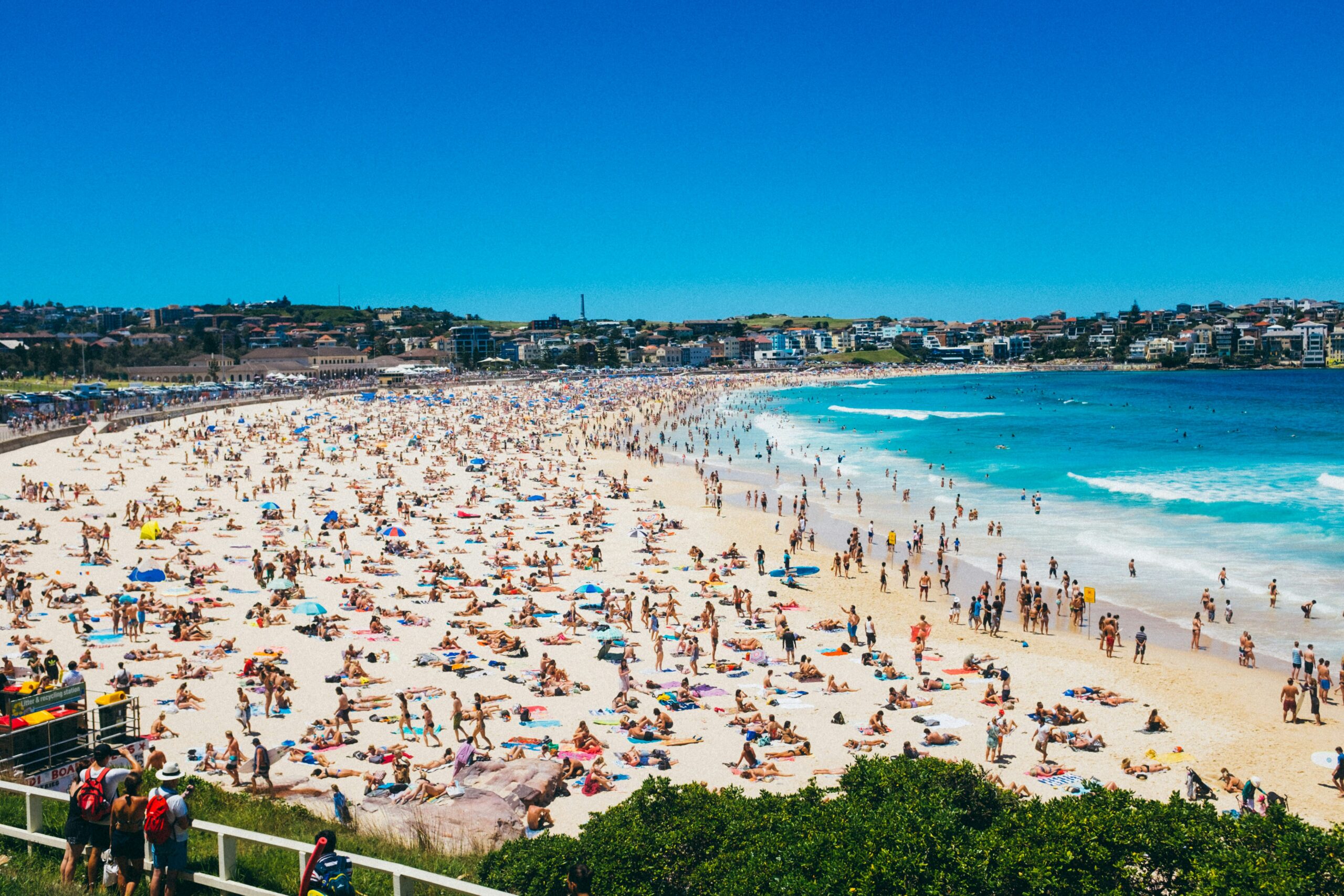 lots of beach goers
