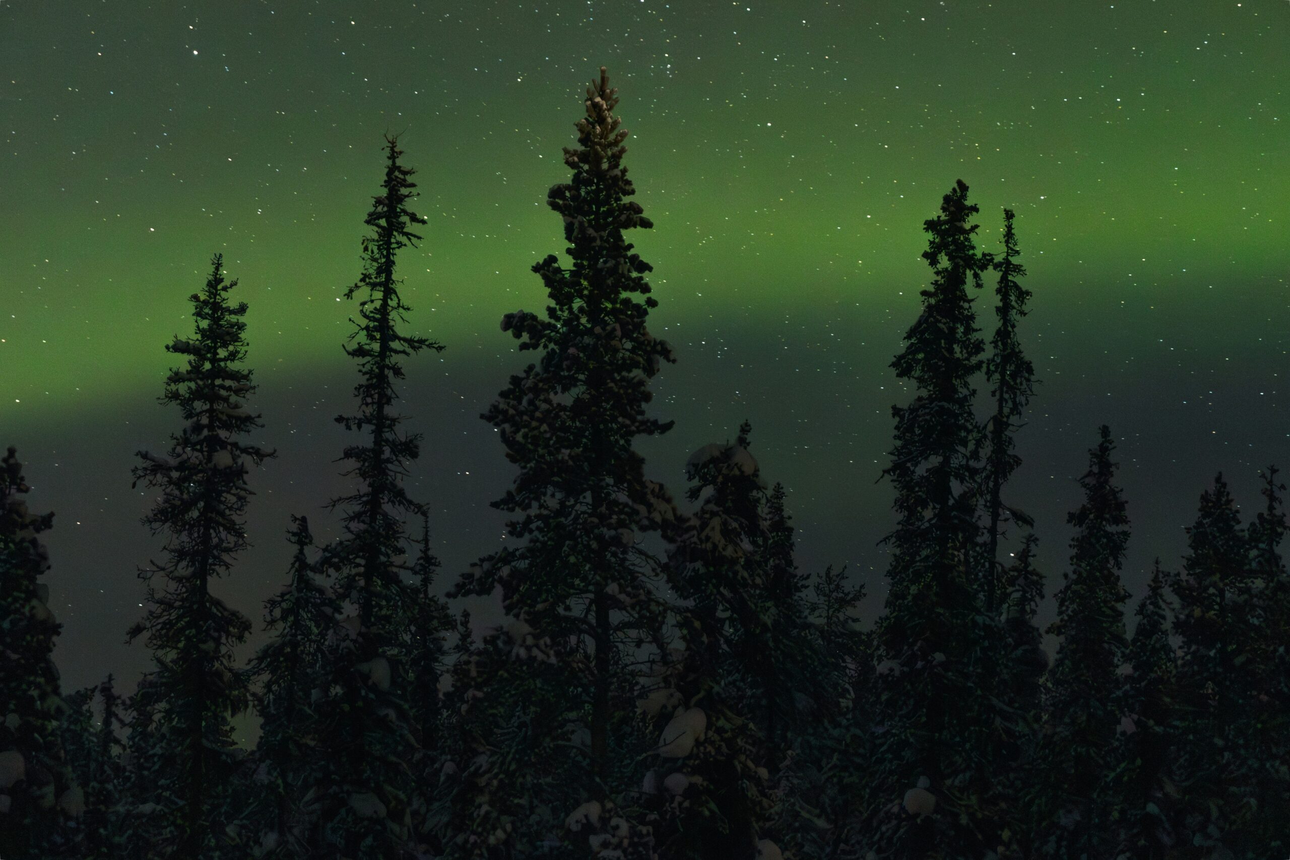 Northern lights