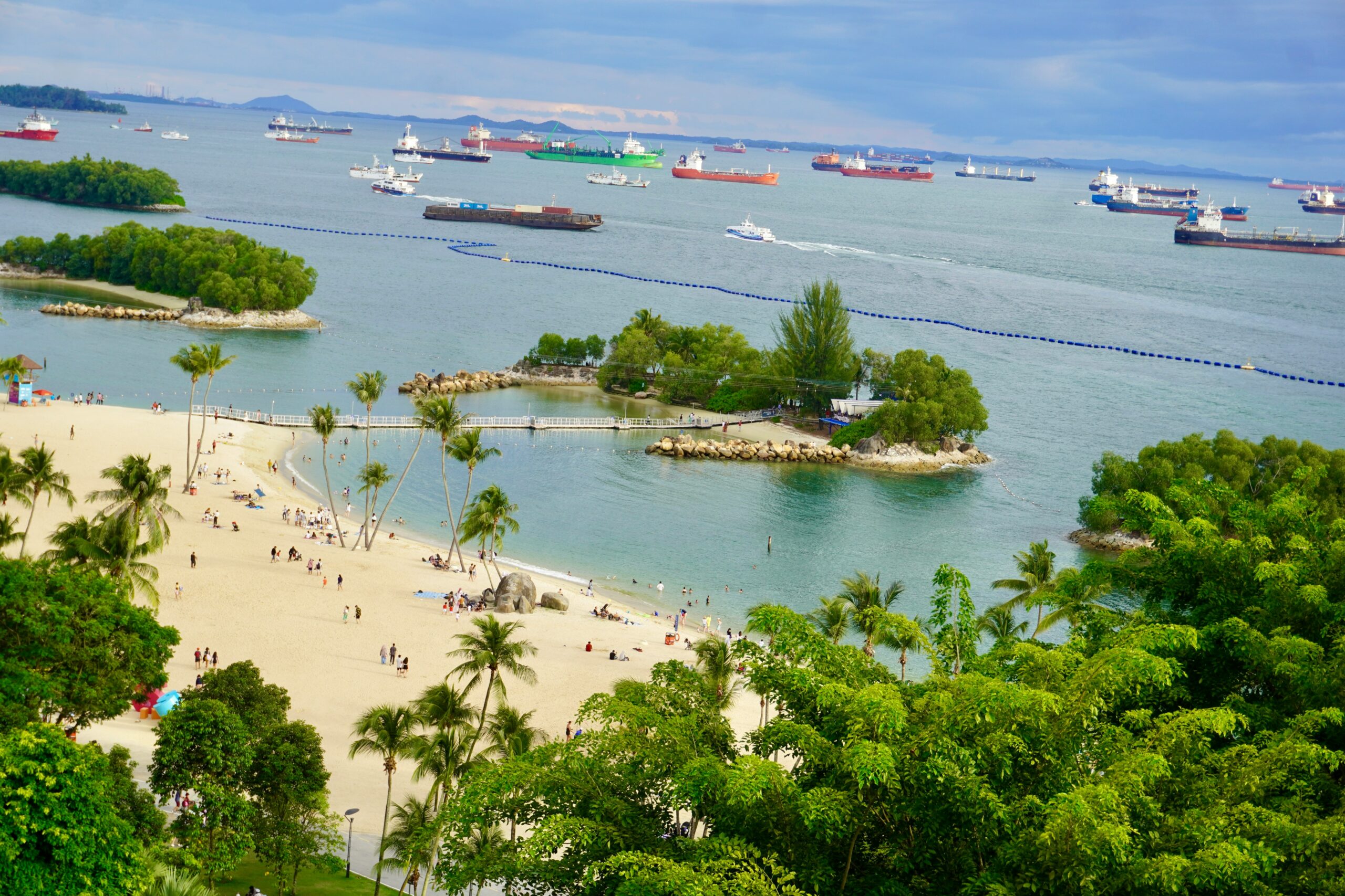 a lush sandy beach island 