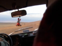 Chapter Five: Siberian Summer