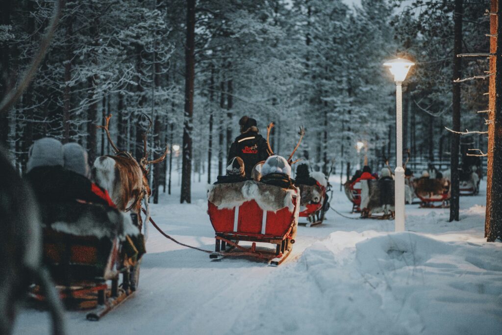 Reindeer safari