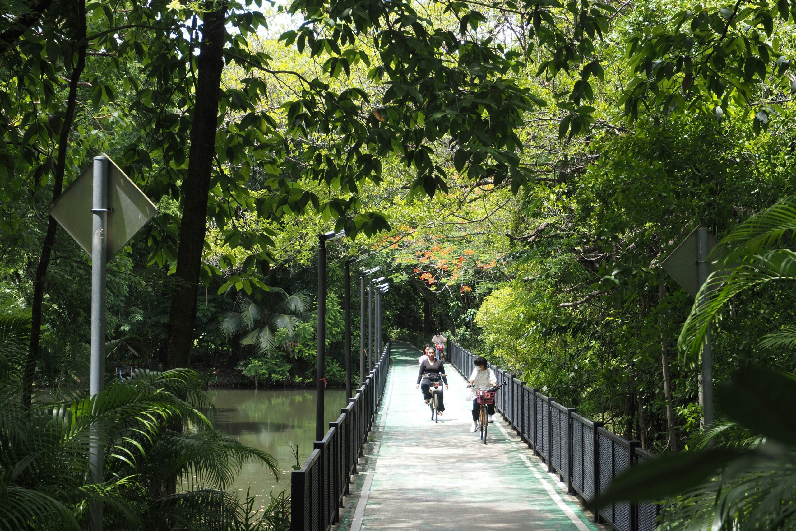 people on bicycles