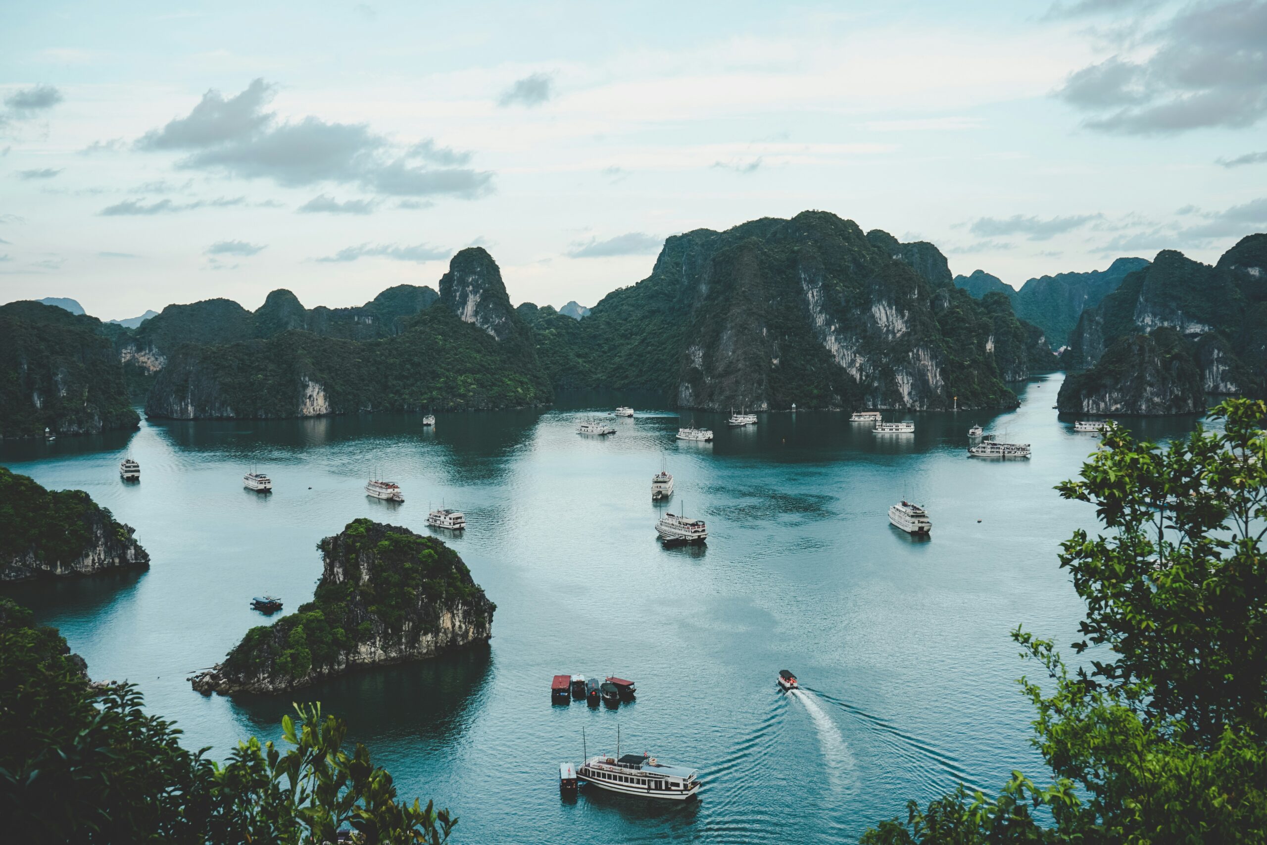 a lot of boats