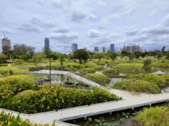 Bangkok’s Green Mile: A Journey from Lumphini to Benjakitti Forest Park