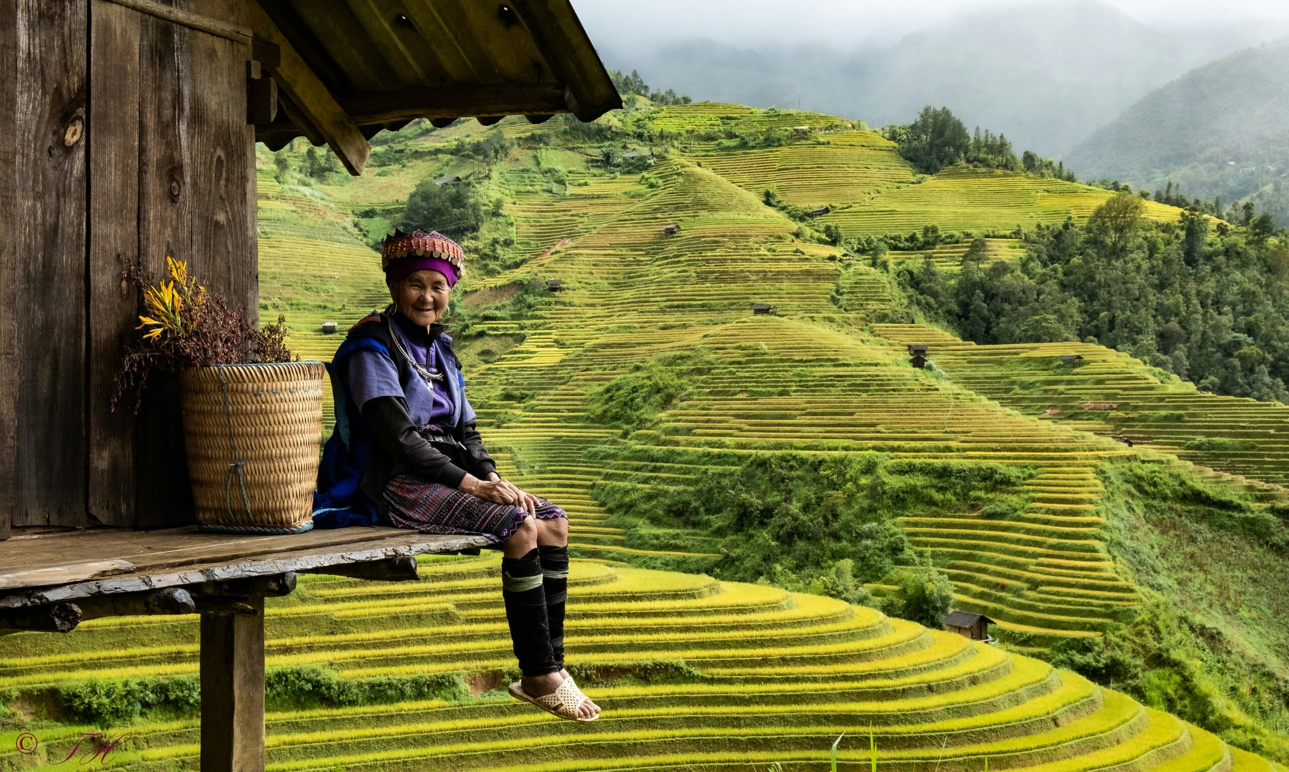 a woman sitting in rice fields