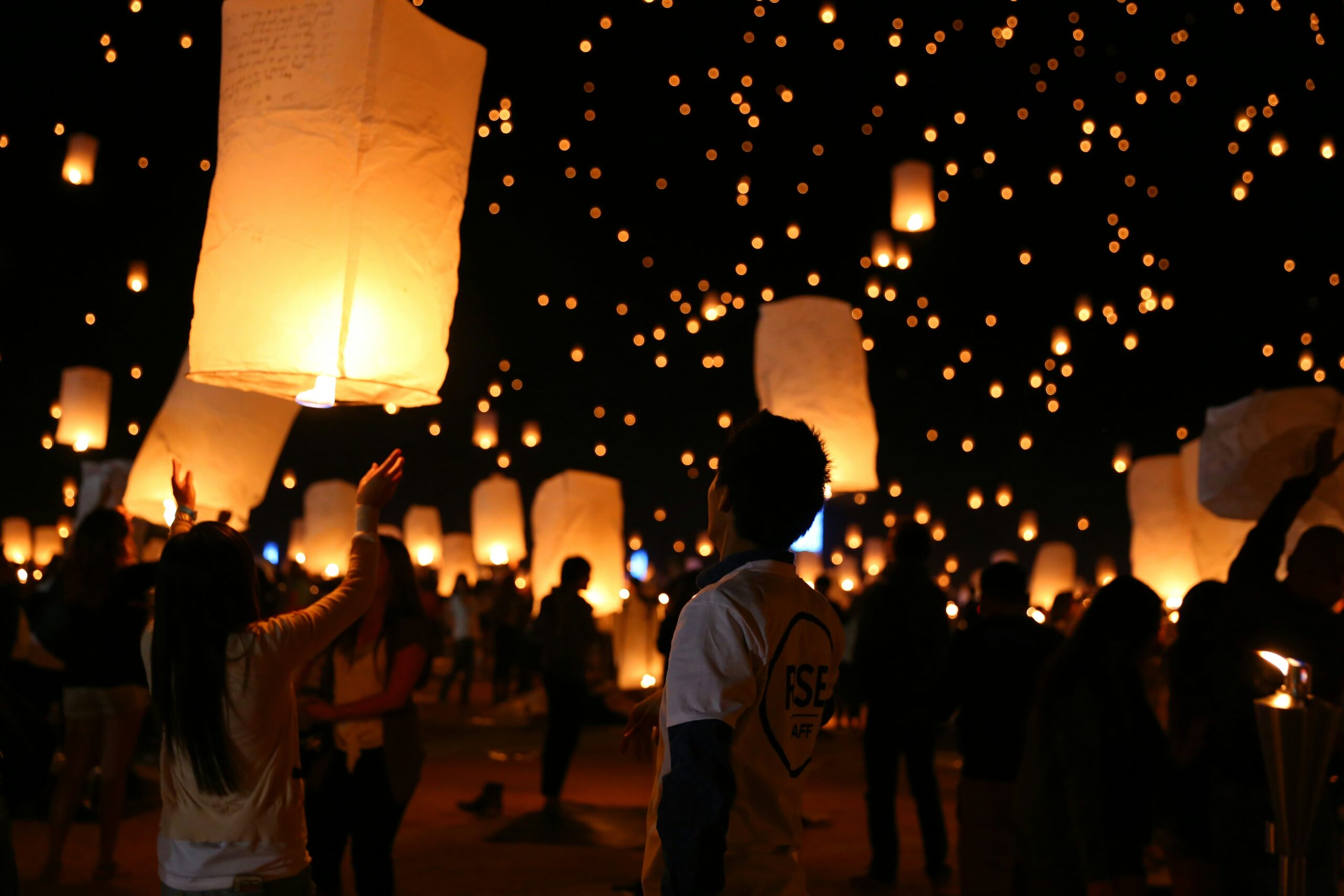 lantern fly in the night