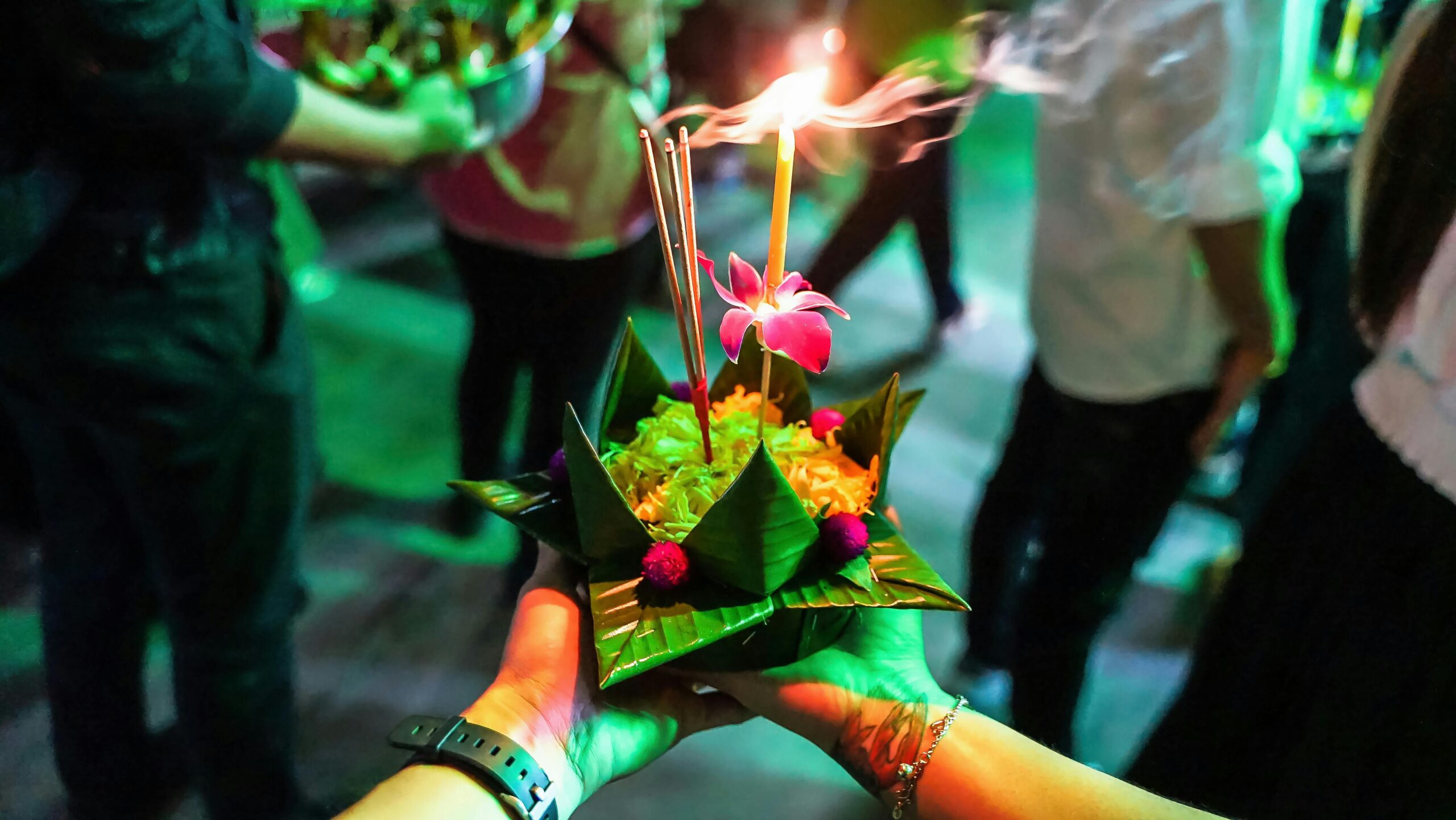 two hands holding green leaf s