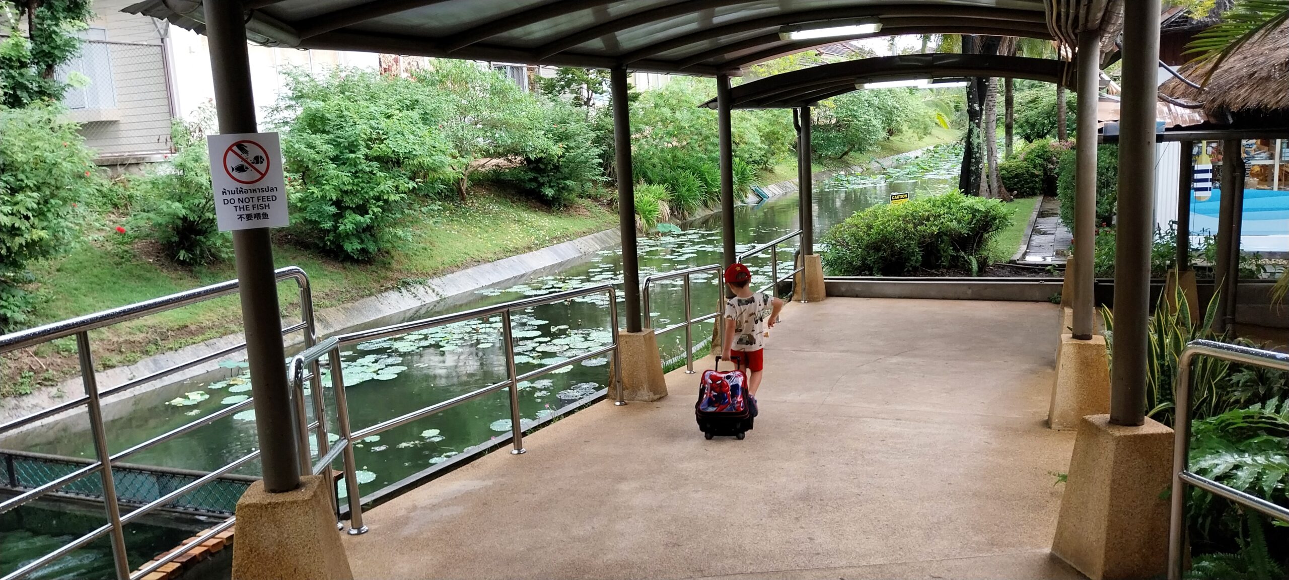 a walkway in the rain