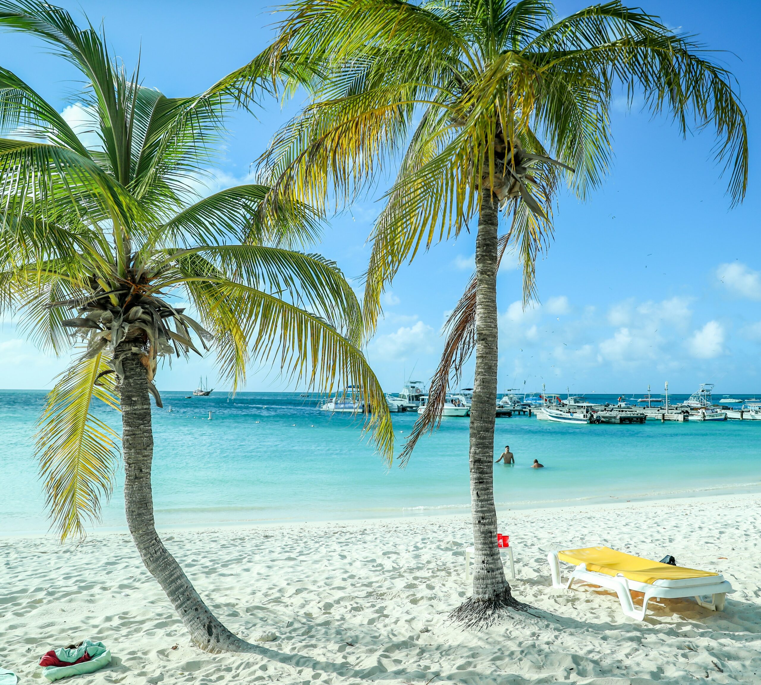 two palm trees standing in white sand