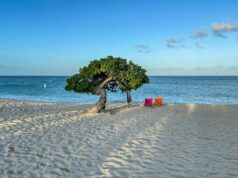 Aruba – One Happy Island! two sun chairs under a tree on the beach