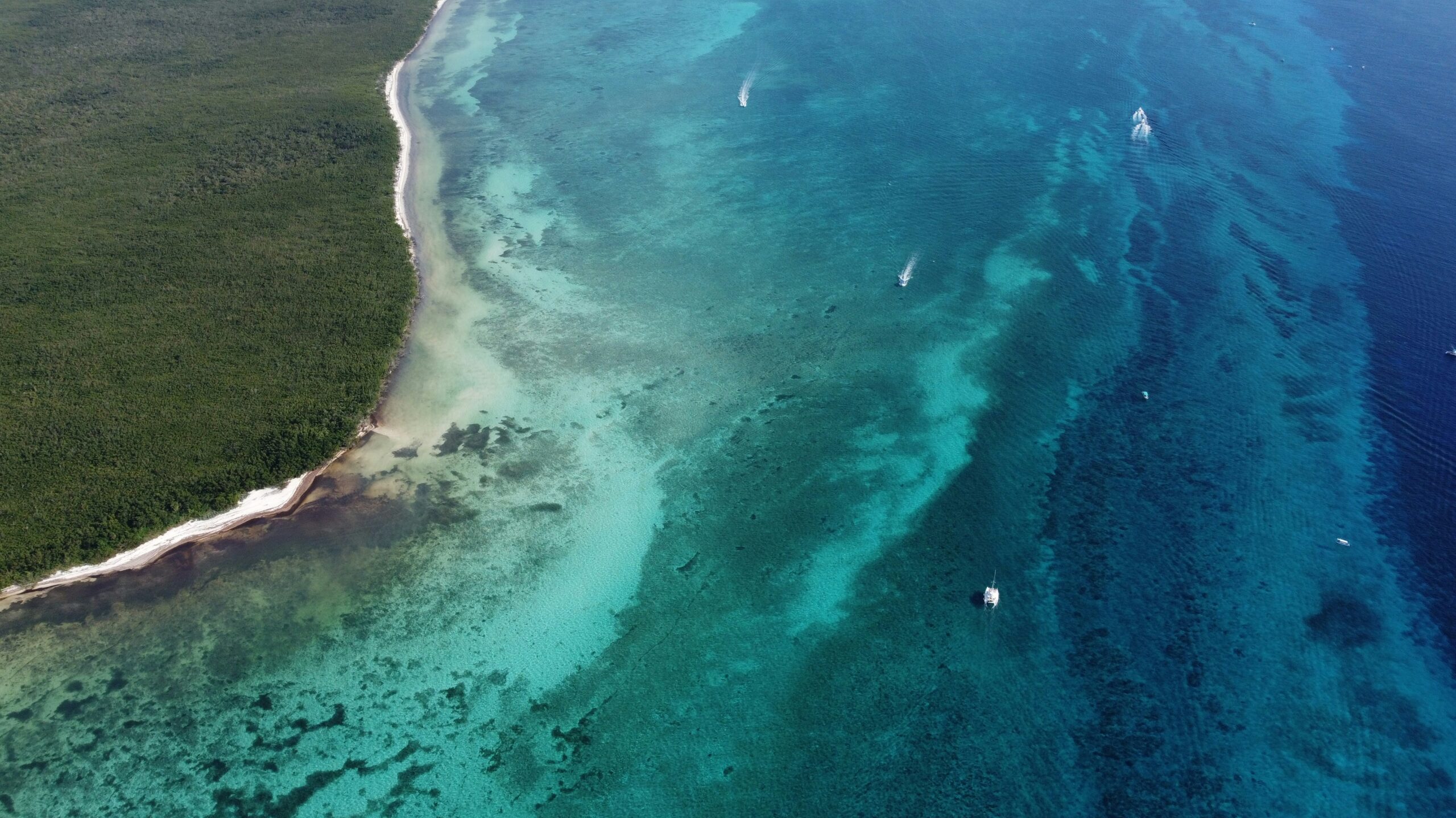 a coral reef in blue waters