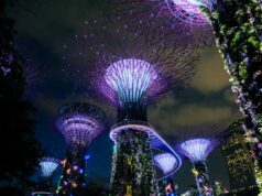 Discover Nature and Innovation at Gardens by the Bay, Singapore