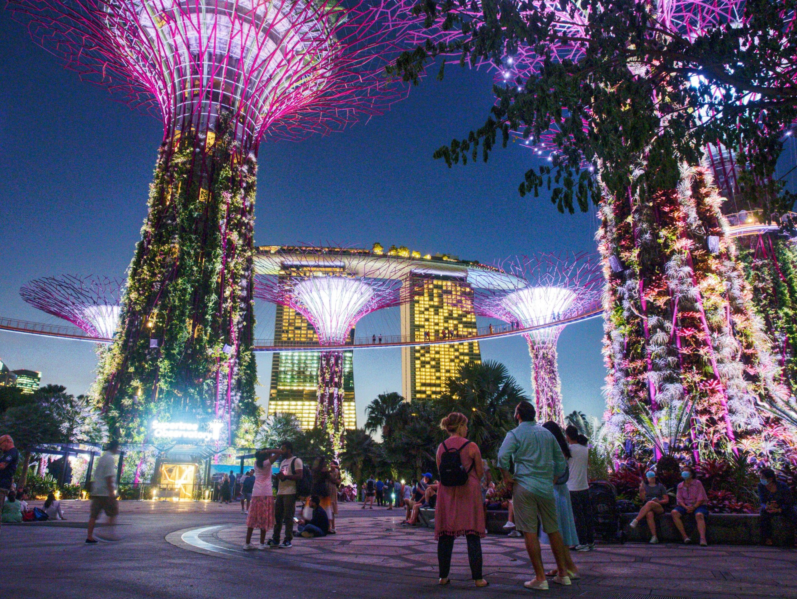 neon trees at night