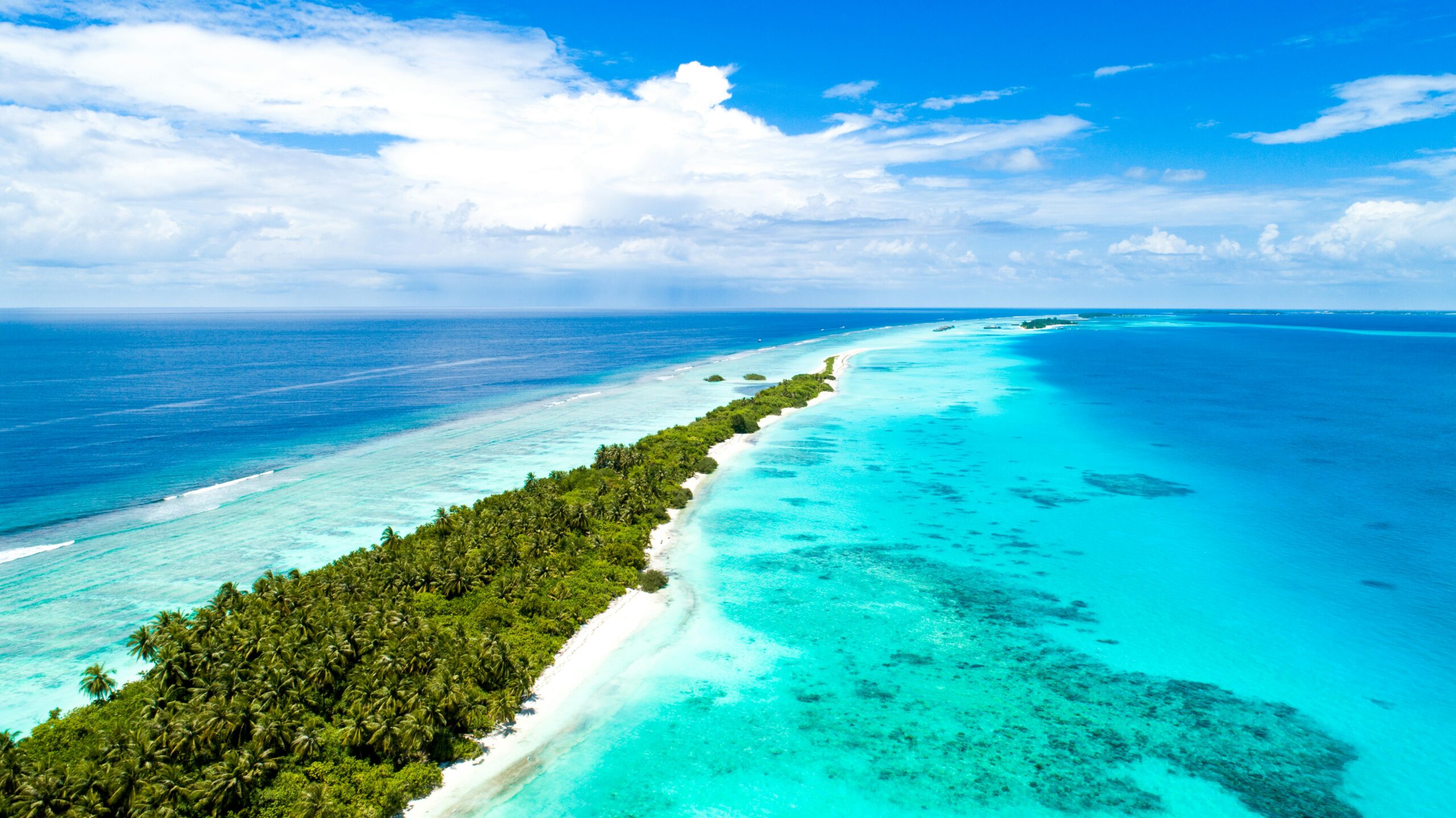 coral reef in turquoise waters 