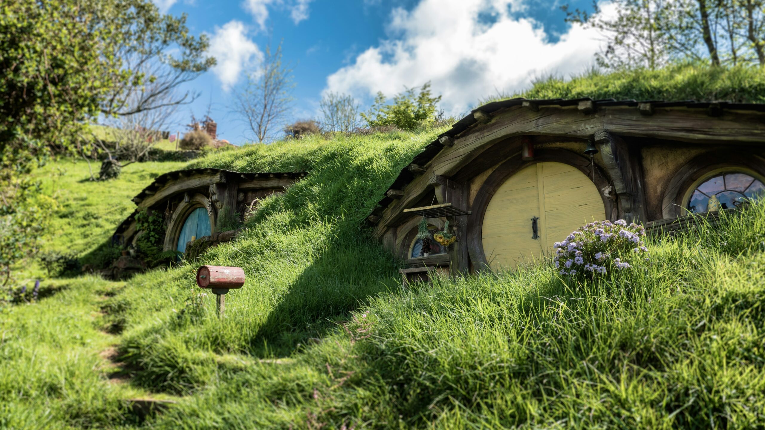 a hobbit house in the field