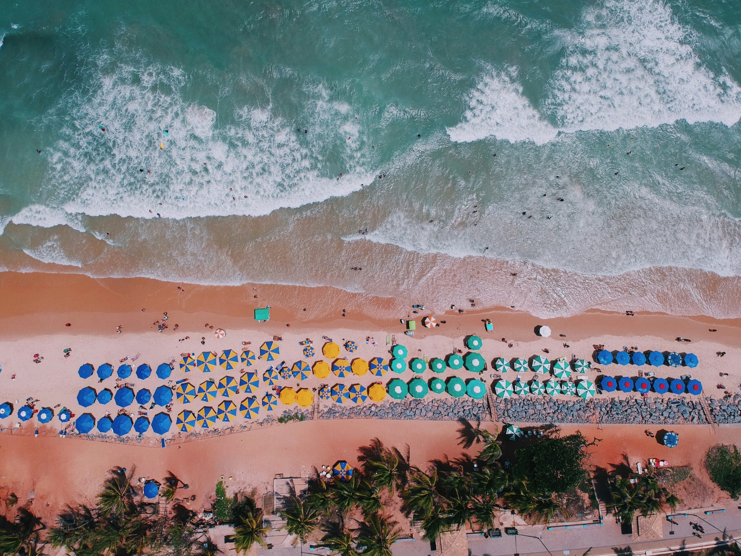 sun umbrellas on a beach