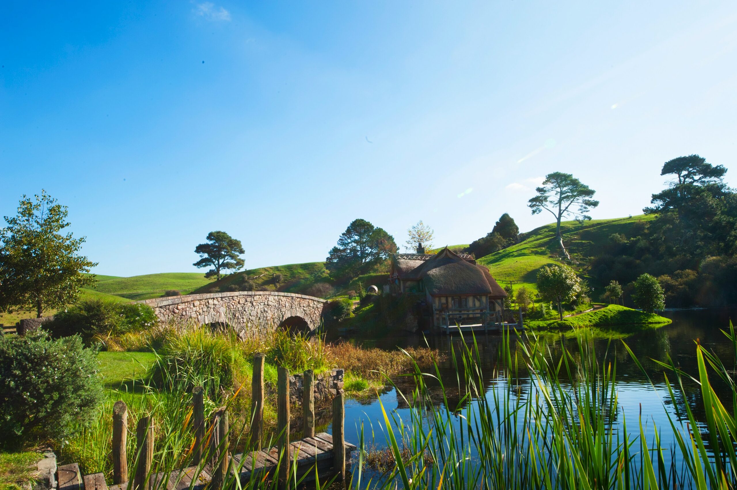 stone bridge in green lush setting