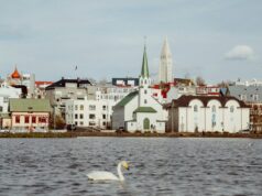 What Not to Miss When Visiting Iceland a swan swim pass a church