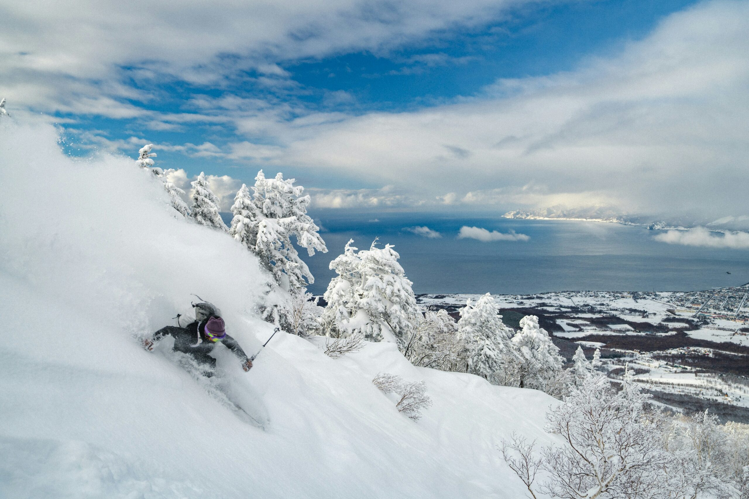 Downhill skier in powder snow 