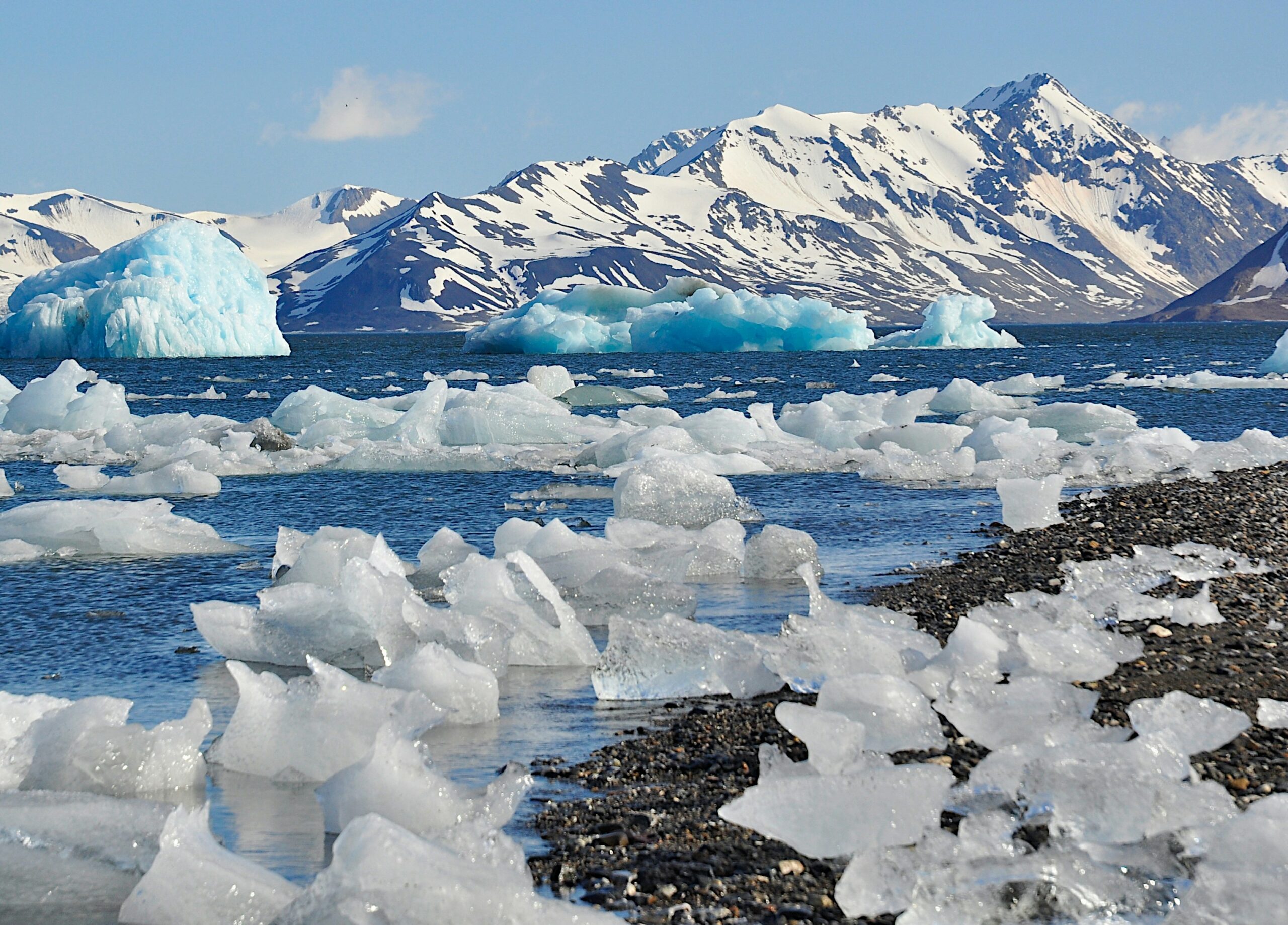 ice bergs floting in the ocean
