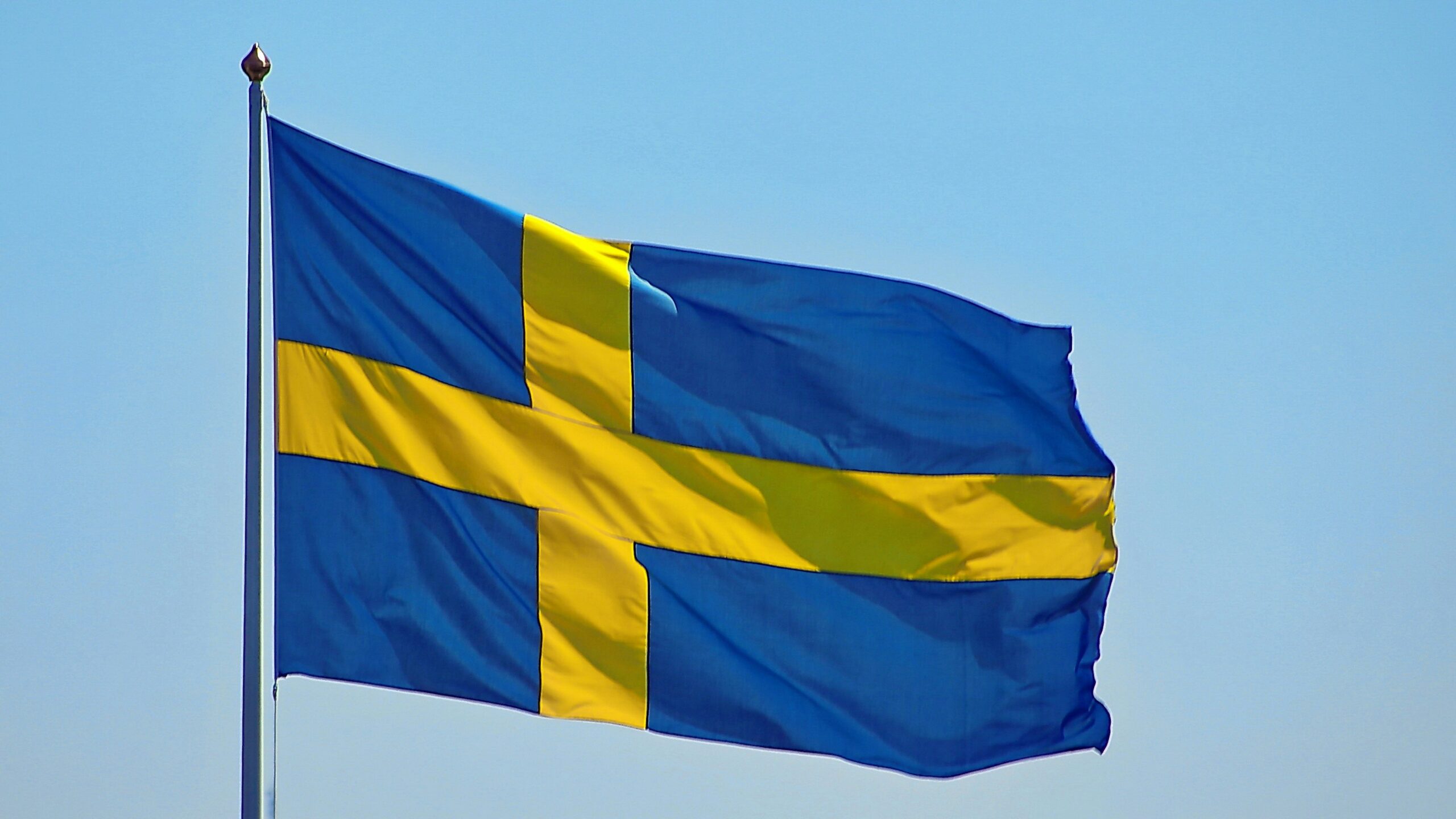 blue and yellow flag