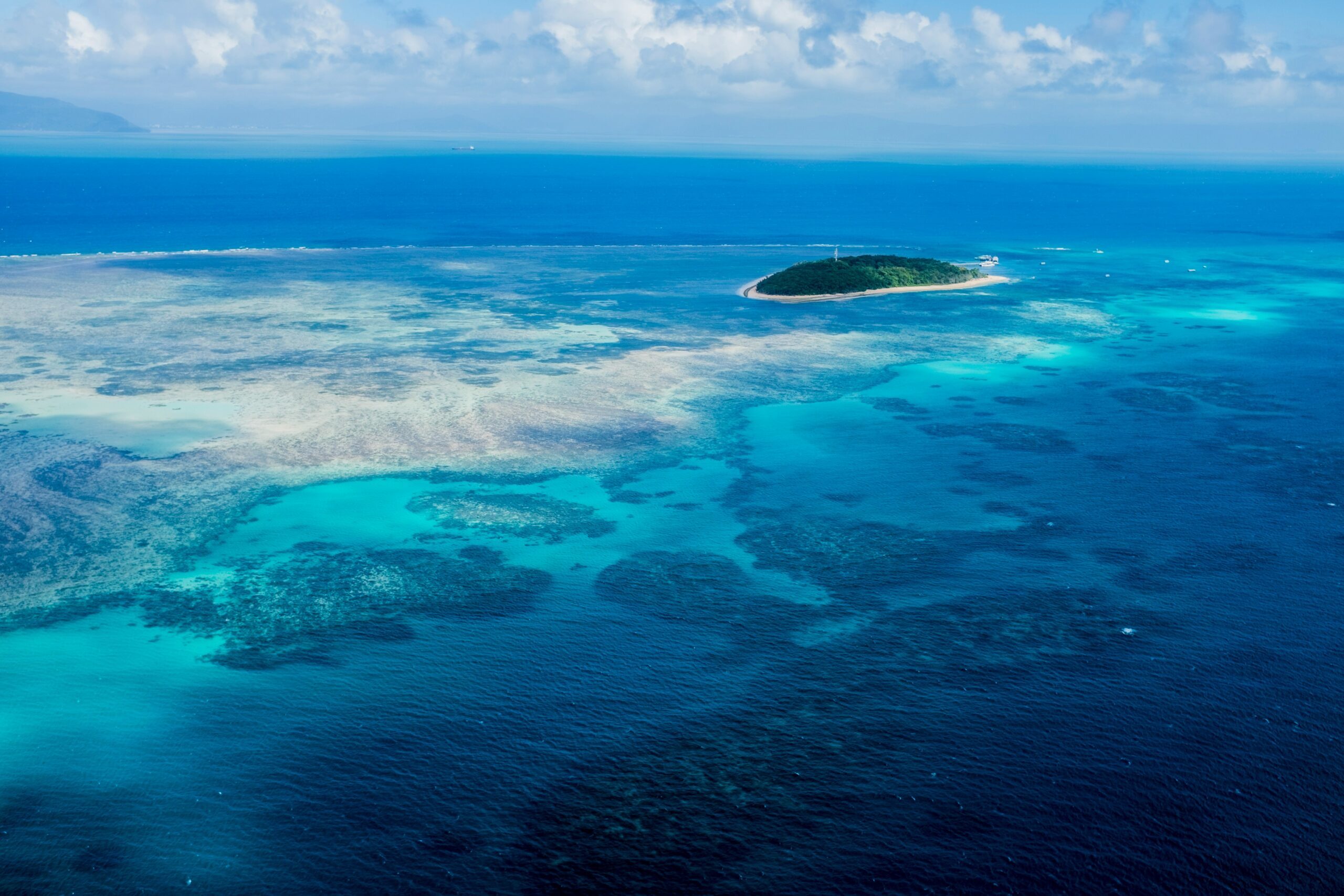 a big coral reef