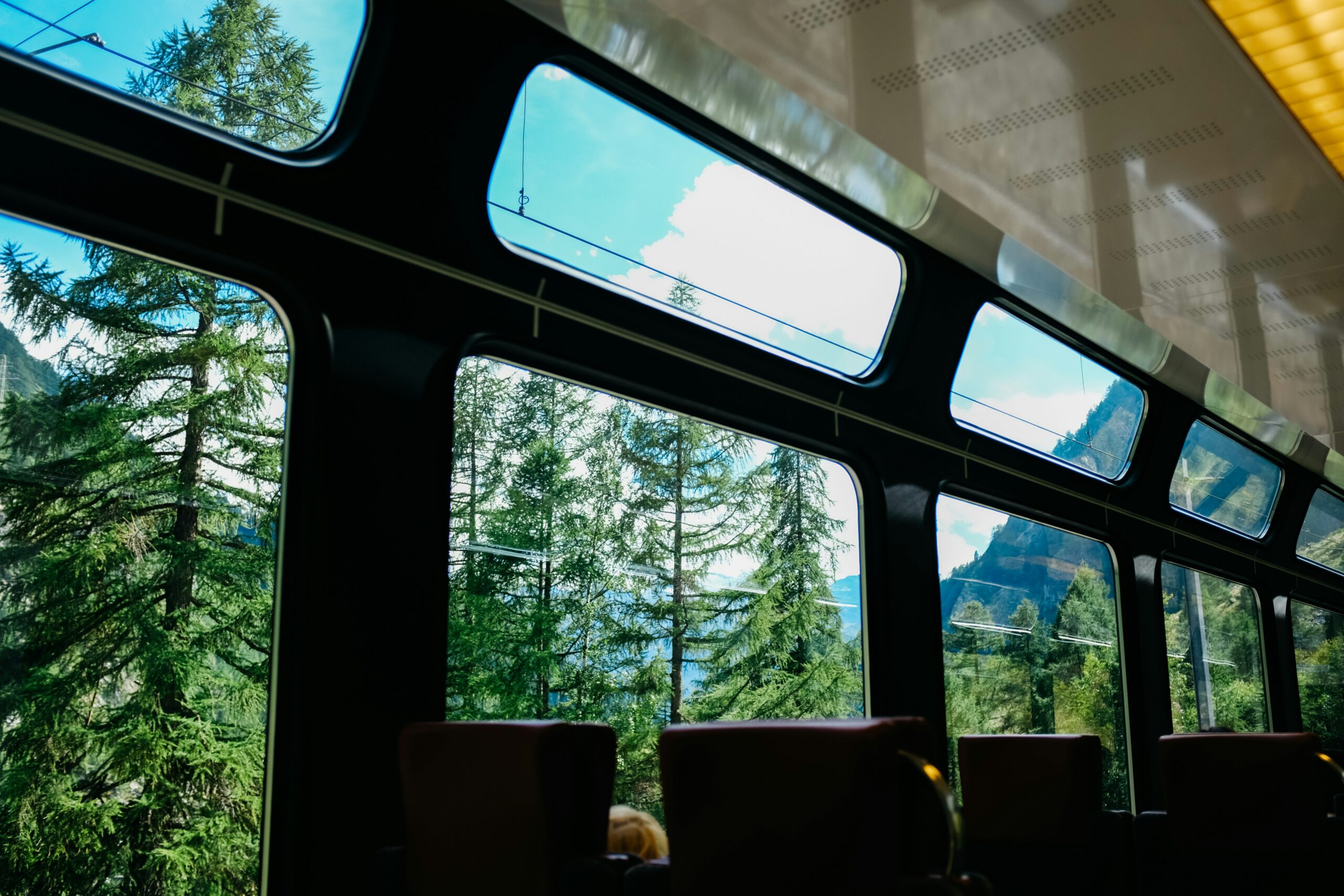 big train window looking out over trees and mountains