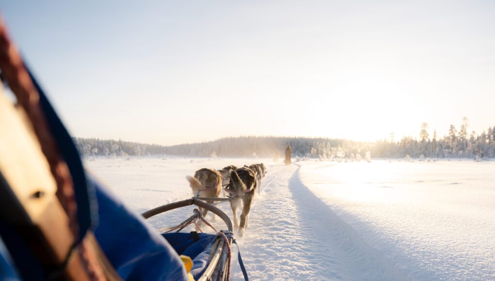 dog-sledding-adventures-around-the-world-where-and-when-to-go