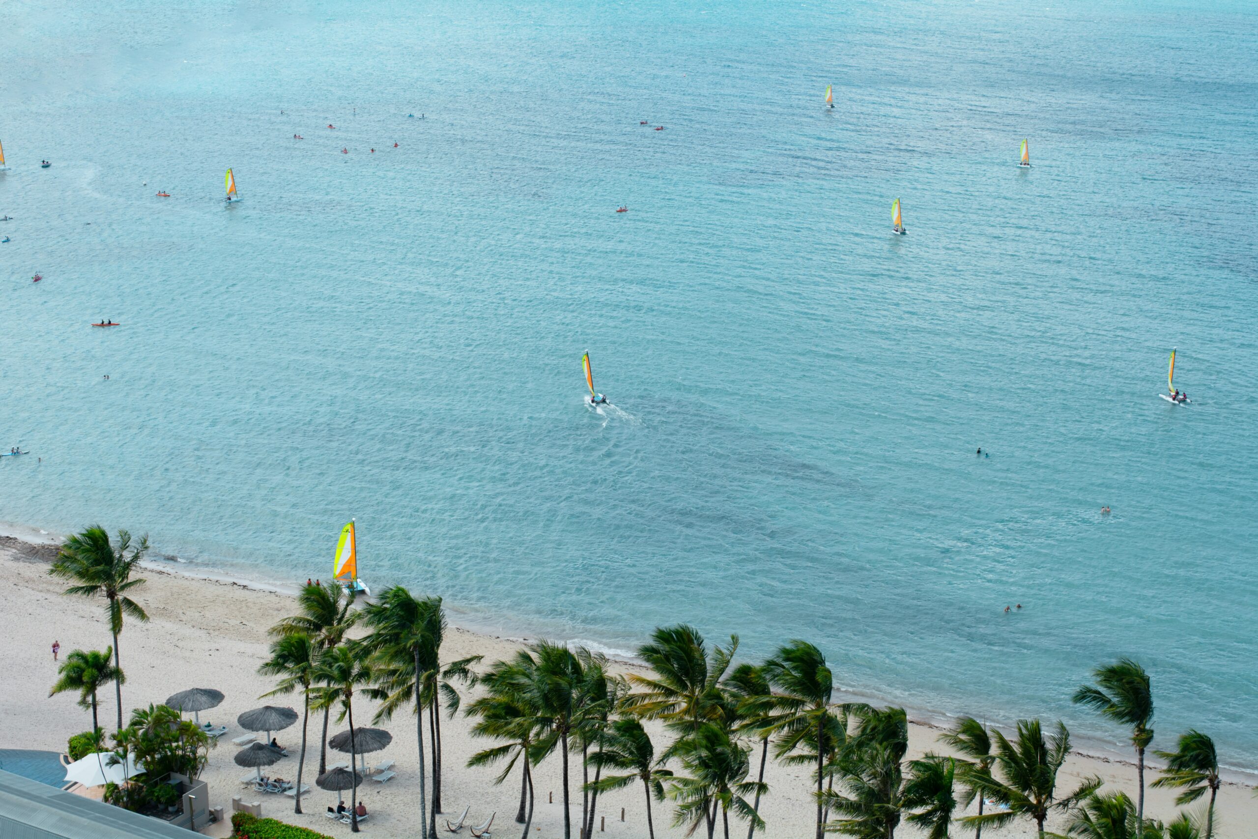 a bunch of guys windsurfing