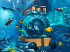 SeaWorld Abu Dhabi: A Deep Dive into the UAE’s Premier Marine Life Theme Park
