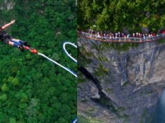 The Ultimate Plunge: A Guide to the World’s Highest and Most Beloved Bungee Jumps