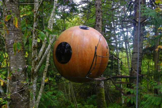 a wooden ball hanging in the forest