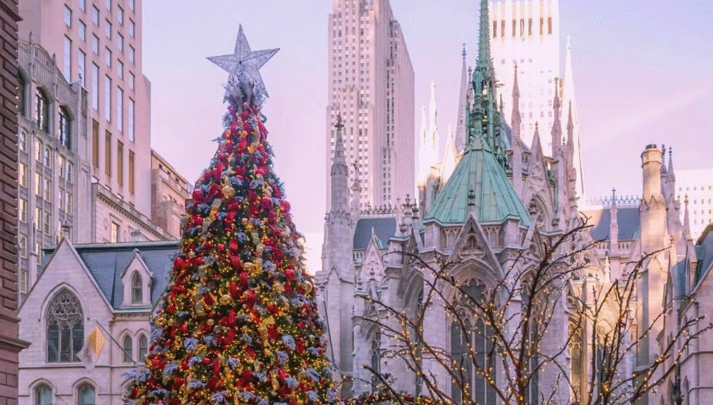 a huge christmas tree