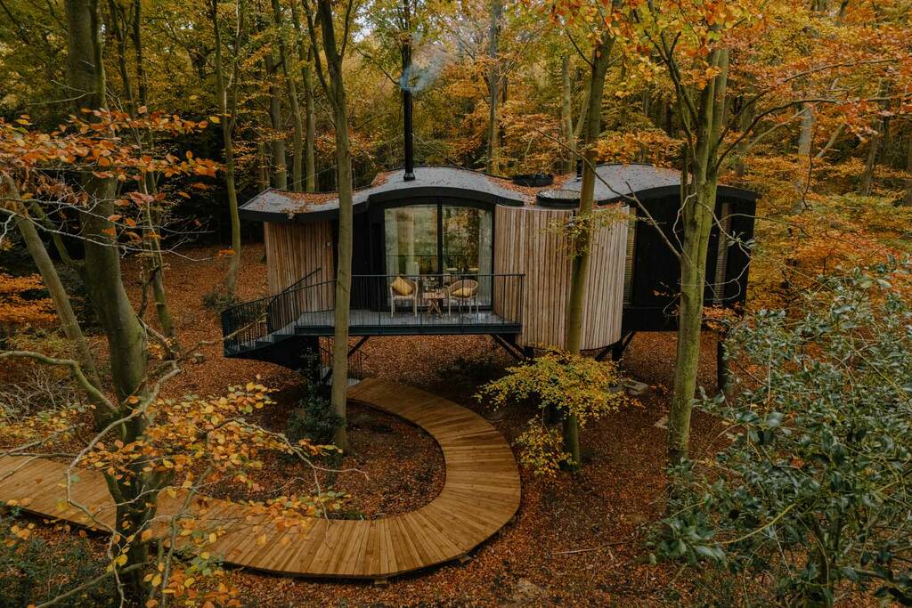 a treehouse in the forest