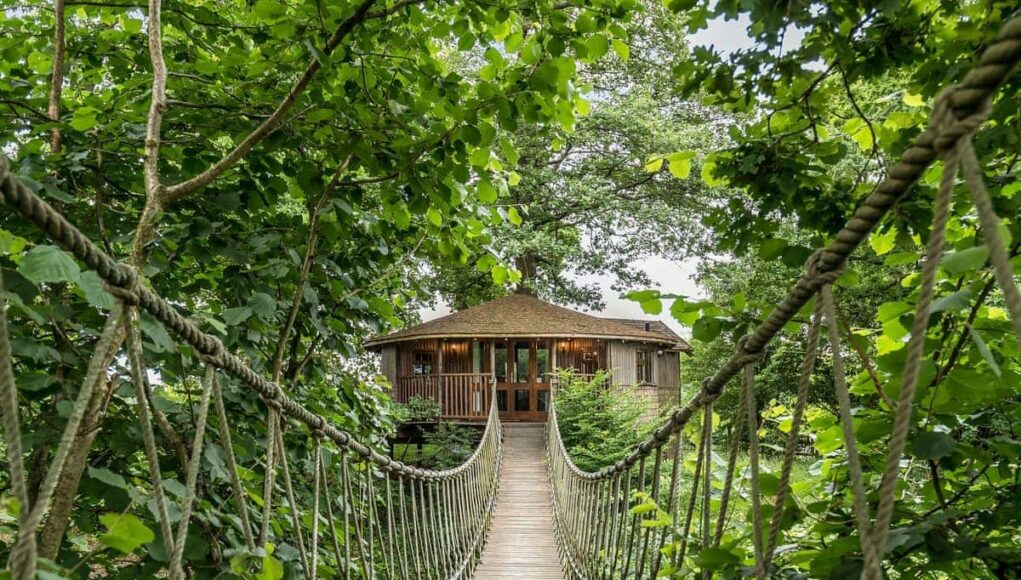 treetop-dreams-the-ultimate-guide-to-treehouse-escapes-and-their-creative-canvas