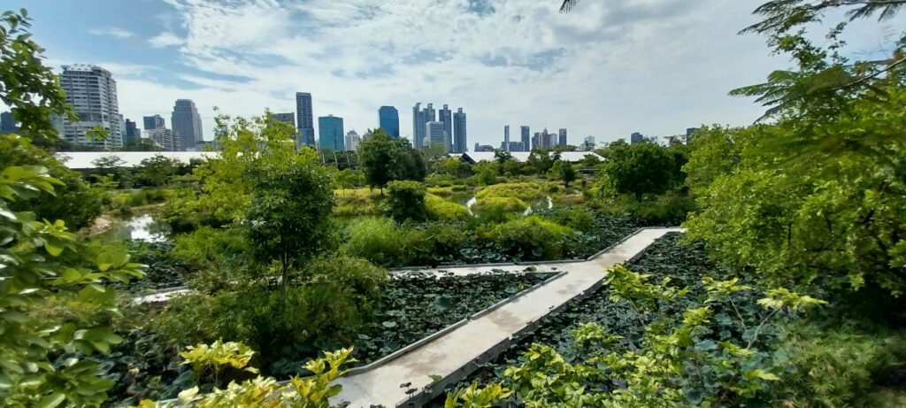 lush greenery and walk ways